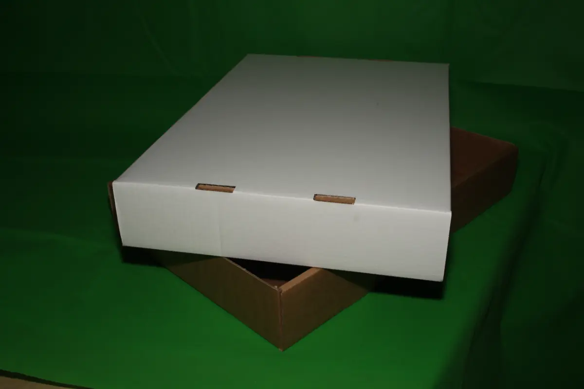 Fondo Autoarmable 10 KG